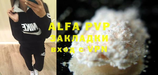 амф Коряжма