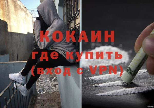 амф Коряжма