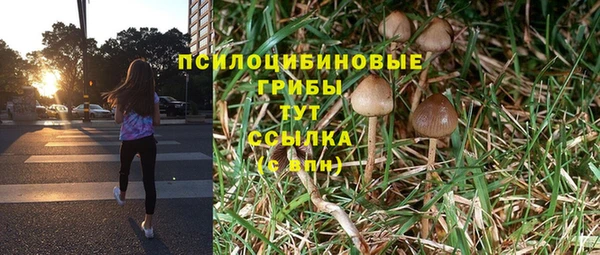 прущие крисы Корсаков