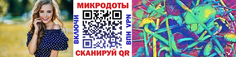 Псилоцибиновые грибы Cubensis  купить  сайты  Малгобек 